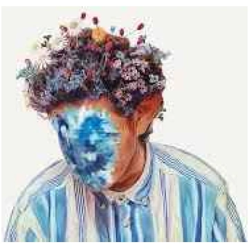 Lietots - CD Hobo Johnson - The Fall of Hobo Johns