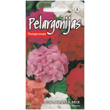 Pelargoniju sēklas KURZEMES SĒKLAS Colorama Mix 0.