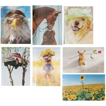 PP Apsveikuma kartiņa / aploksne 1gb. 01-32A 75648
