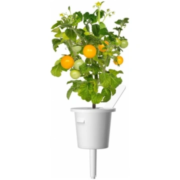 Click & Grow Smart Garden uzpilde Dzeltenie mini t