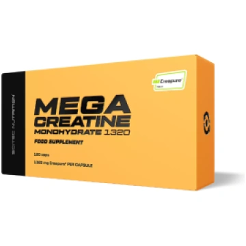 Mega Creatine Monohydrate 1320 Scitec Nutrition 12