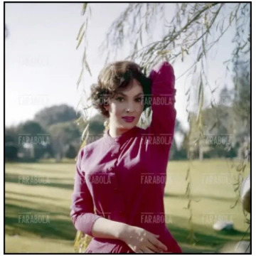 Gina Lollobrigida, anni 50 - Editoriale