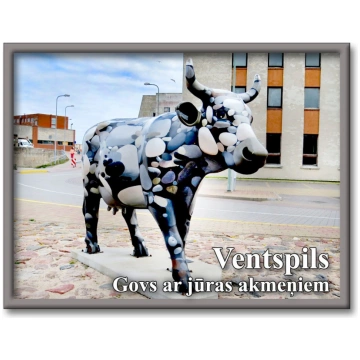 Ventspils Govju parāde 4132M