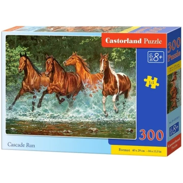 Puzzle Cascade Run Castorland