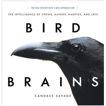 Bird Brains: The Intelligence of Crows, Ravens, Ma