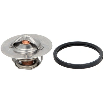 THERMOTEC Termostats, Dzesēšanas šķidrums D2P001TT