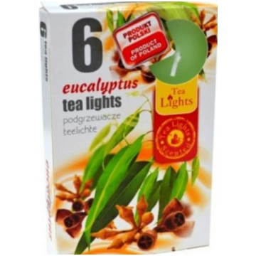 Smaržīgās tējas sveces (6gab.) - EIKALIPTS