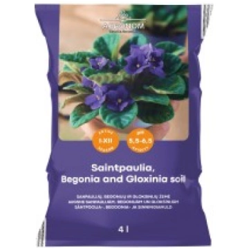 AUGSNE SANPAULIJĀM, BEGONIJĀM UN GLOKSĪNIJĀM 4 L A