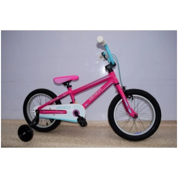 Merida matts J16