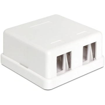 Delock Keystone Module Wall Mount Box 2 Ports (862