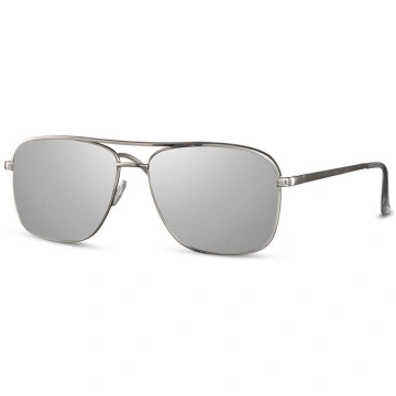 Saulesbrilles Label L2595 Silver/Revo