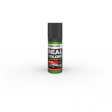 Ninja Green 17ml - Real Color RC849 - AK Interacti