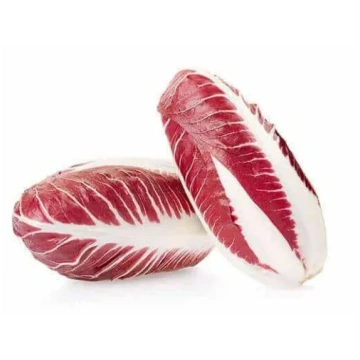 Radicchio lungo Biologico