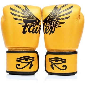 Thai boxing gloves Fairtex BGV1 Falcon Golden