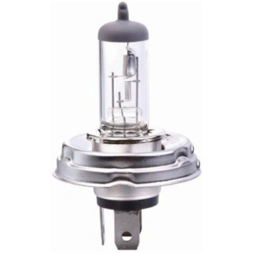 Spuldze H5 12V 60/55W P45t