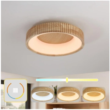 Brilagi - Koka LED griestu gaismeklis FALCON WOOD