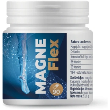 MAGNEFlex kapsulas, 90 gb