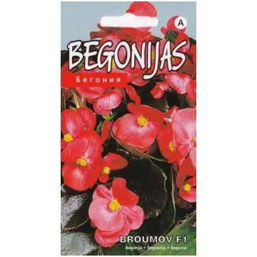 Begonijas leduspuķes Broumov F1 sarkanas sēklas 50