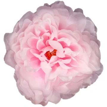 Peonijas D15