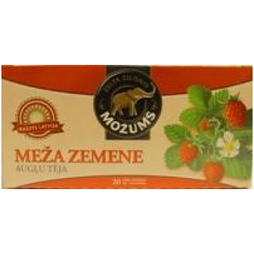 Augļu tēja MOŽUMS Meža Zemene, ar virvīti, 20x1.5g