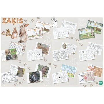 Mācību materiāls: ZAĶIS + zaķa dzīves cikls | Liel