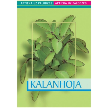 Kalanhoja