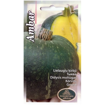 Ķirbji lielaugļu Ambar sēklas 1gr Kurzemes sēklas