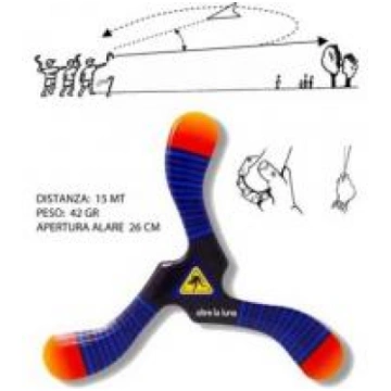 Boomerang Zebra III