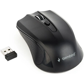 Gembird MUSW-4B-04 mouse Ambidextrous RF Wireless 