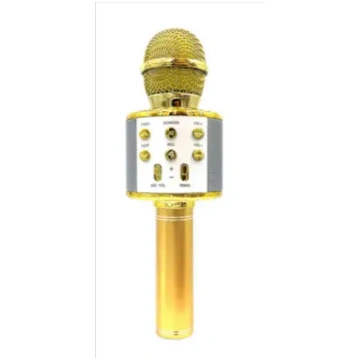 Goodbuy karaoke microphone with built-in speaker, 