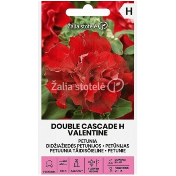 PETŪNIJAS PILDĪTĀS DOUBLE CASCADE H VALENTINE 20 g