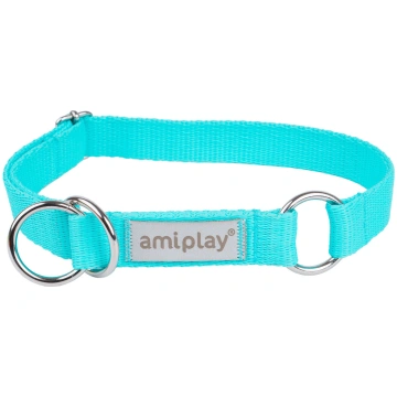 Kaklasiksna suņiem Amiplay Samba, tirkīza krās., 4