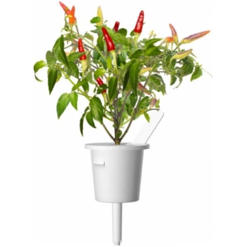 Click & Grow Smart Garden uzpilde Sarkanais asais