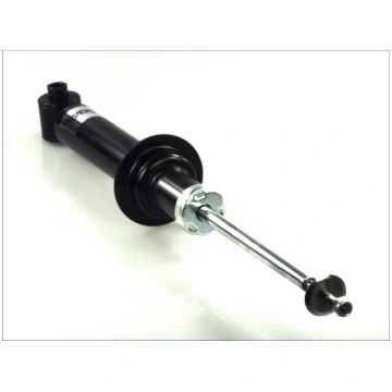 Amortizators MAGNUM TECHNOLOGY AGB040MT