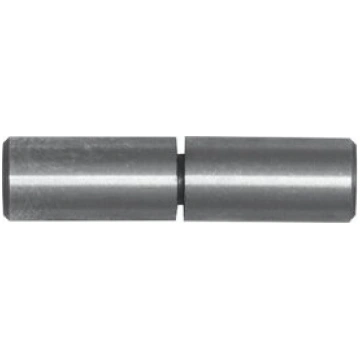 Eņģes 30x110 mm ar lodi