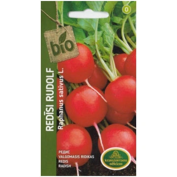 Redīsi rudolf bio Kurzemes sēklas