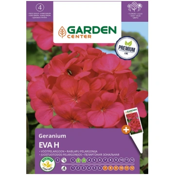 Sēklas Garden Center pelargonijas EVA H, 5 gab