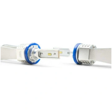 H11B XenonDepot Xtreme LED Pro Bulbs