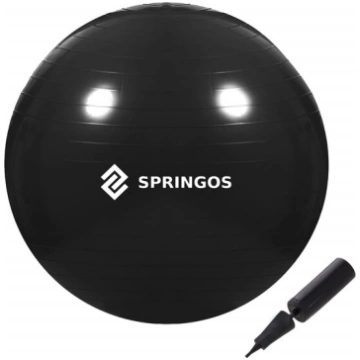 Vingrošanas bumba ar pumpi Springos FB0013, 55 cm,