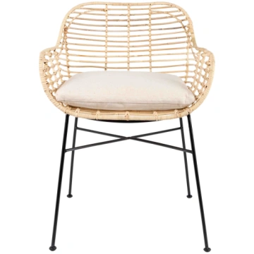 Armchair Tiger - ekspozīcijas modelis vienā eksemp