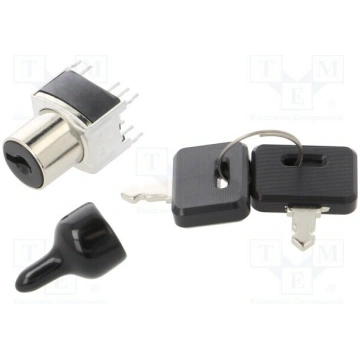 Switch: key switch; Stabl.pos: 2; ON-ON; DPDT; Rco