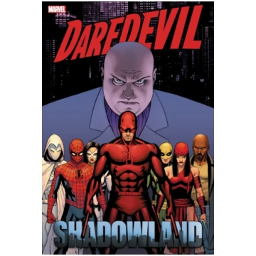 Daredevil: Shadowland Omnibus Cassaday Cover (New 