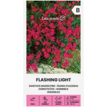 DZIRKSTELĪTES FLASHING LIGHT ŽALIA STOTELĖ