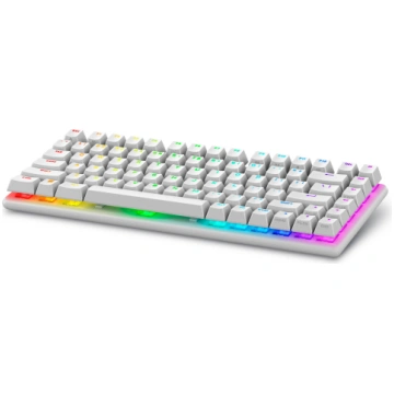 Dell Alienware Pro Wireless Gaming keyboard USB +