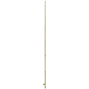 Bambusa kociņš 210cm Intermas