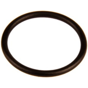 BOSCH Blīvgredzens F 00V C38 042