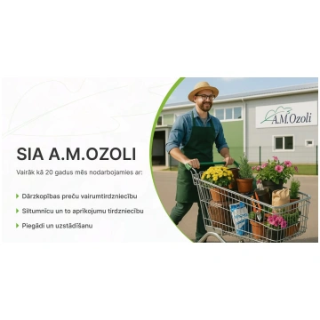 Delosperma congestum Yellow | A.M. ozoli