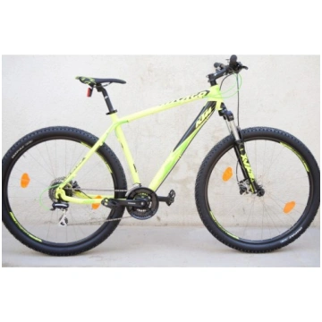 KTM chicago