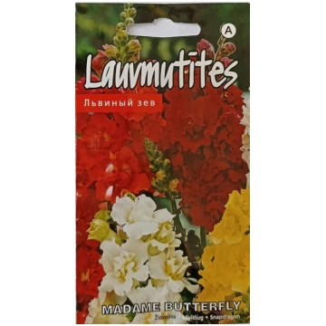 Lauvmutītes Madame Butterfly Kurzemes sēklas