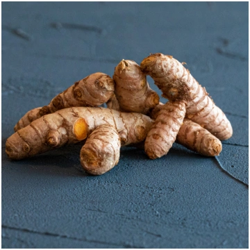 Bioloģiska kurkuma (turmeric) sakne Biopapa